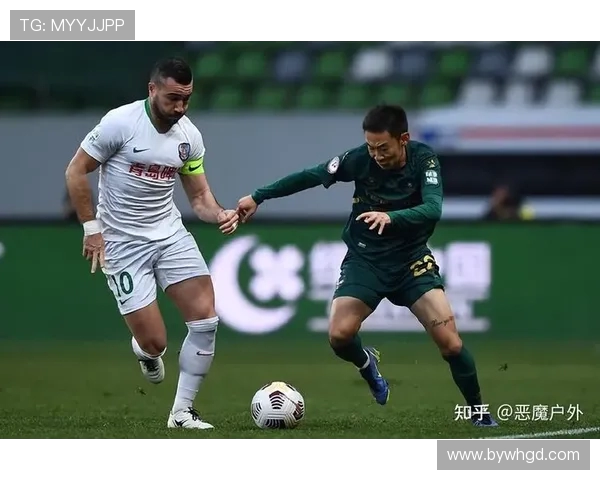 杭州排球队技术争议引发热议球迷与专家观点交锋分析