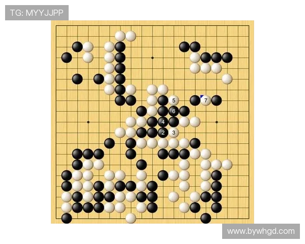 神秘人对抗风暴的深度解析与策略探讨