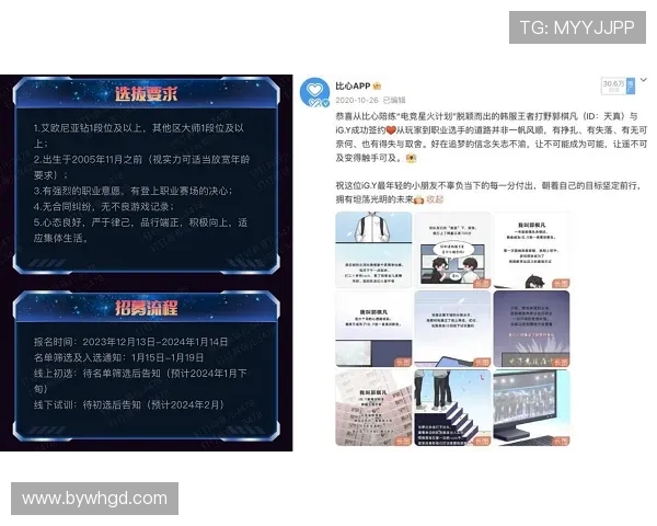 独家解析：BLG战队成员个人能力深度对比与分析