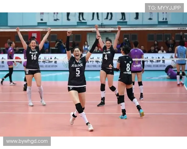 北京排球队的成长历程与奋斗精神全景纪实