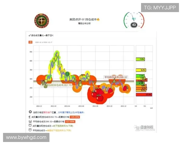南京排球队在世界杯预选赛中的团队协作表现分析与点评