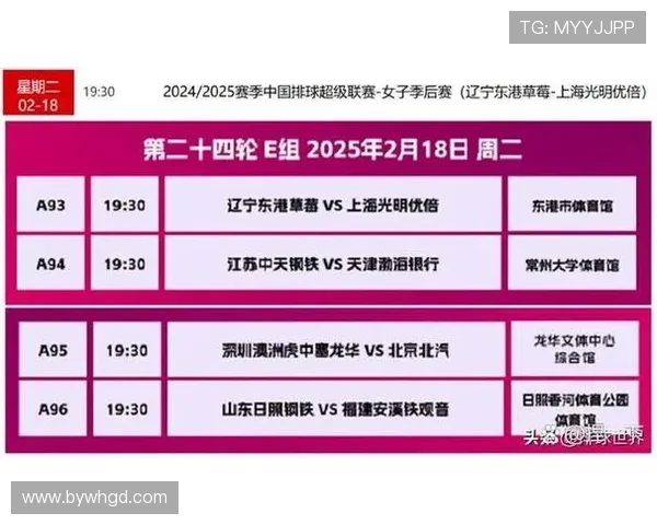 广州排球队运营解析：探索排球热点与发展策略的深度剖析