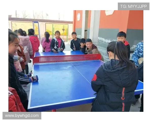 张芳独家分享乒乓球技巧与心得助你提升球技的秘密秘籍